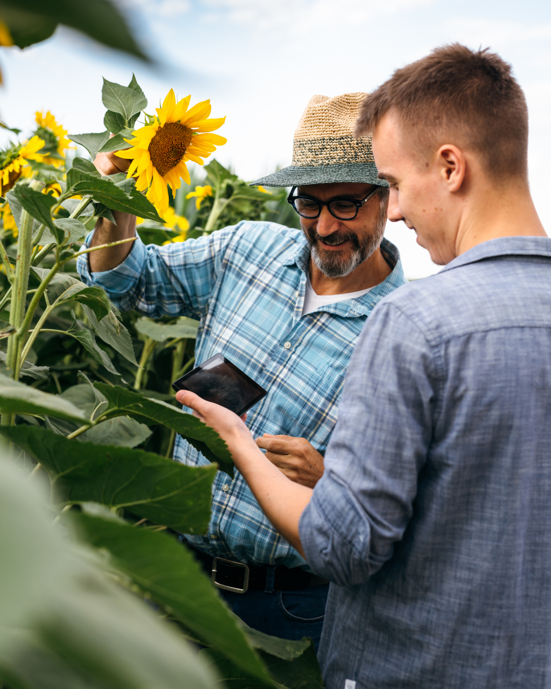 livre blanc skills-based organization visuel landing page (2)